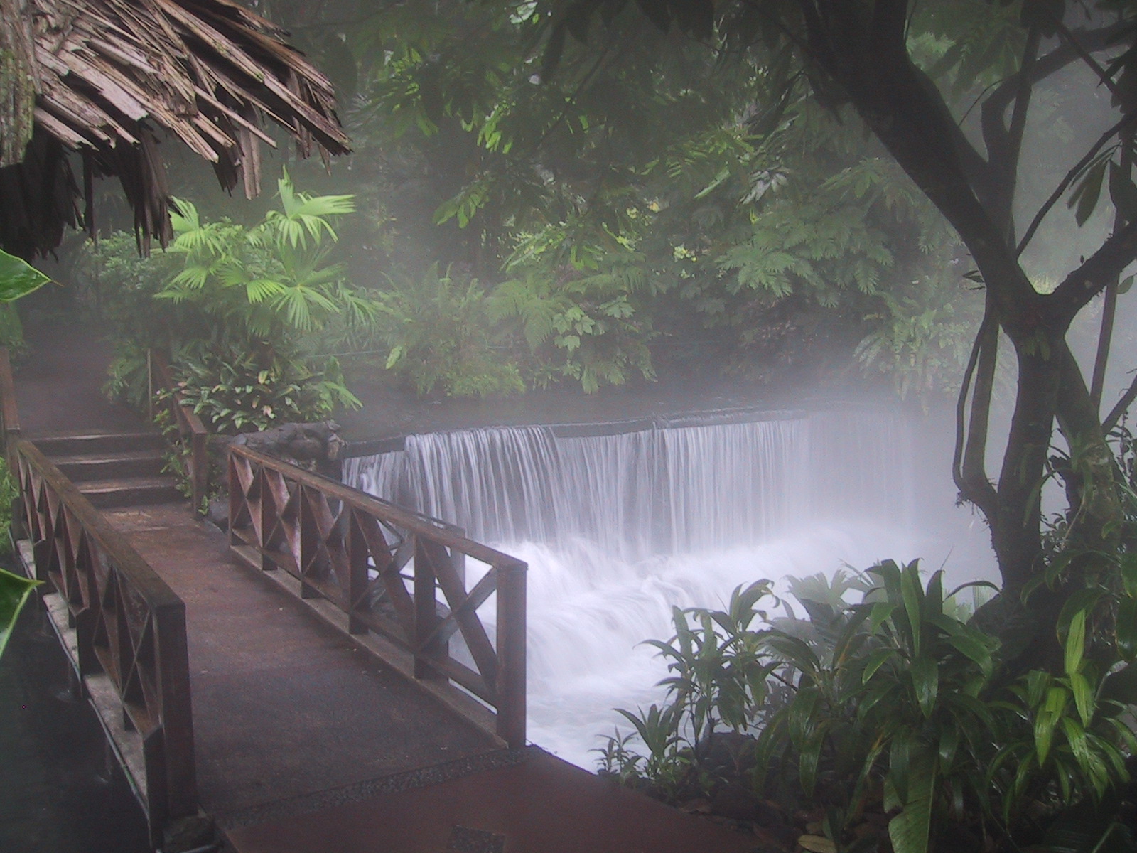 tabacon hot springs