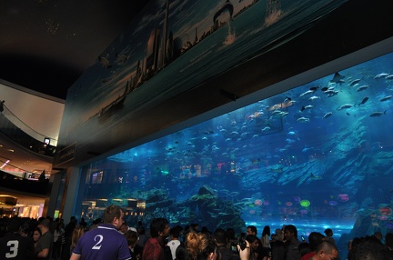 Aquarium1