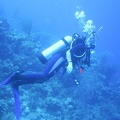 Erynn Don Reef1