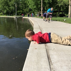 Watching Fish1