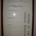 IMG 0849