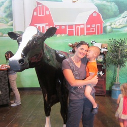 Visiting a Local Dairy Farm