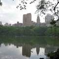 IMG 0071