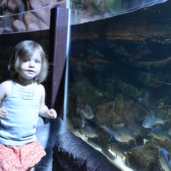 Sea Life Aquarium - June 2014