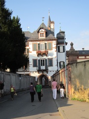 IMG 0548