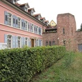 IMG 0850