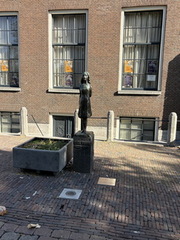 IMG 3140